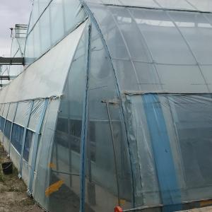 Multi-Span Agricultural Greenhouses Advanced Hydroponic Growing System for
