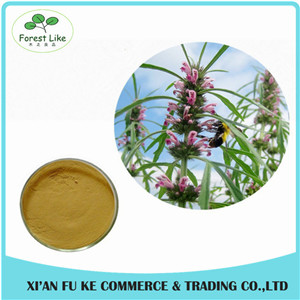 Clear Heart and Regulate Menses Natural Motherwort Herb Extract