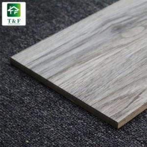 Modern Light Gray Ceramic Tile 200x1000mm with 5 years Warranty