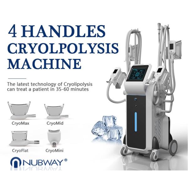 Buy Fast Fat Reduction! 4 Handles Cryolipolysis Fat Freezing Machine at wholesale prices