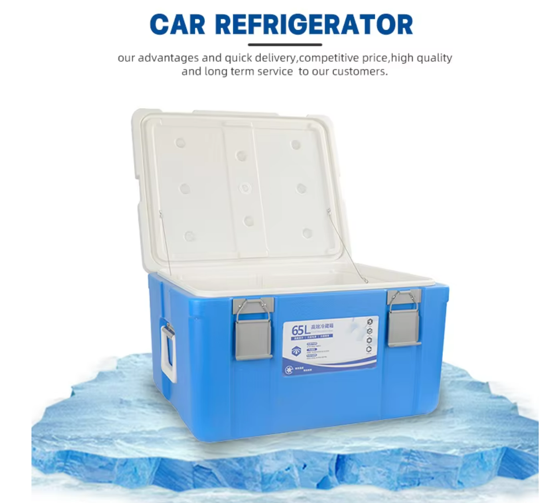 FS-65L Model Ice Cooler Box with 645X532X396 Cm Package Size and 535410300mm