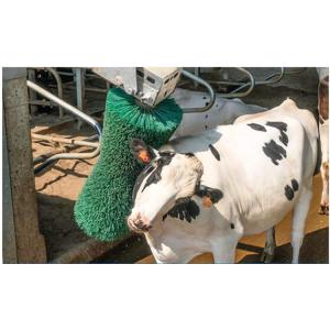 Poultry Breeding Equipment Cow Massage Brush Rotating Cow Shaving Brush