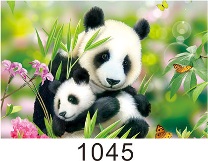 Custom 3D Lenticular Printing 60*80cm / Wall Poster 3D Animals Photos