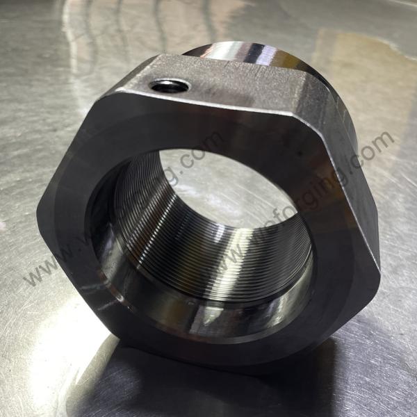 Customized Non Standard Large Nut Forgings, Australian Mining Forgings For
