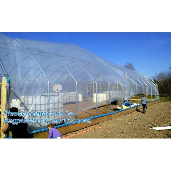 Agricultural PE Film, Agriculture Polyethylene, Film, mulch films, horticultural