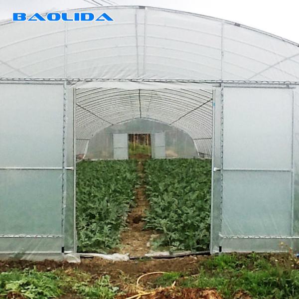 Buy Economical High Hoop Agriculture 60m Tunnel Plastic Greenhouse at wholesale prices