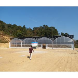 No Roof Vent Agricultural Greenhouse Vegetable Growing Single Span Greenhouse
