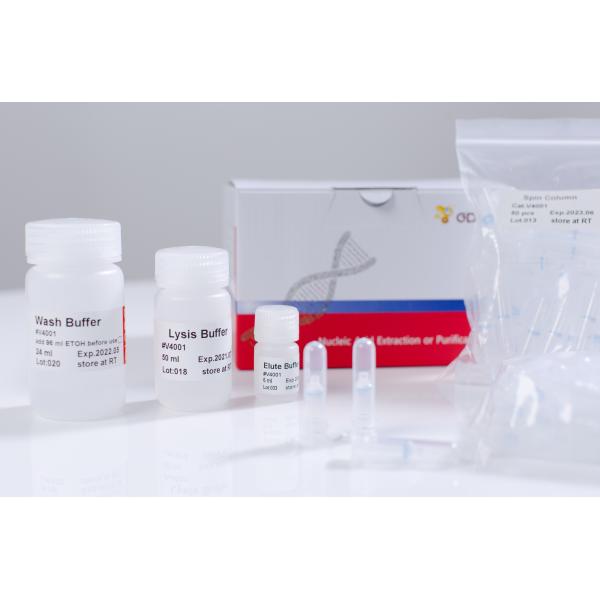 Spin Column Viral Nucleic Acid Extraction Kit DNA RNA Swab Saliva