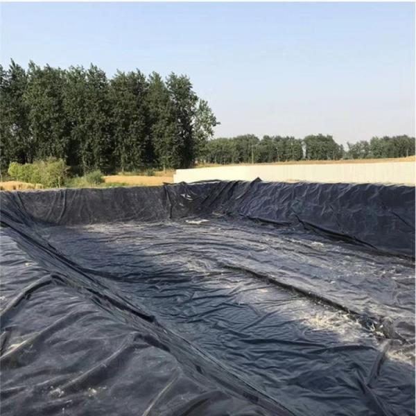 1.0mm HDPE Geomembrane for Artificial Lake Double Smooth Surface Graphic Design