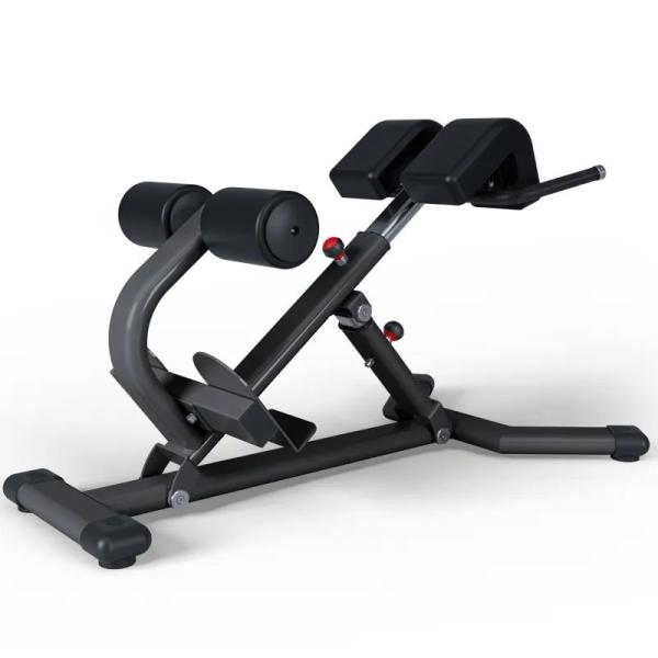 Buy Adjustable Back Extension Roman Chair Home Gym Strength Training Machine for Abdominals and Back Exercise Pin Load Selection at wholesale prices
