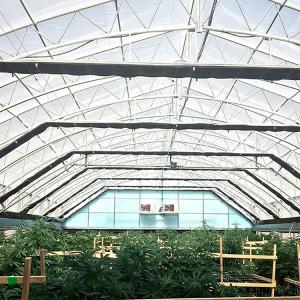 Agricultural Tunnel Fully Automated Light Deprivation Greenhouse Single-span