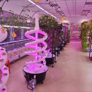 China Plants Double Helix Hydroponic Rotating Farming Spiral NFT Hydroponic System on sale