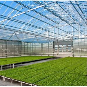 Polycarbonate Hollow Board Glass Industrial Outdoor Multispan Glass Professional