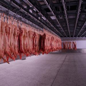 PUR PIR Insulated R404a Walk In Cooler