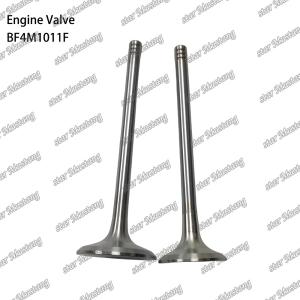 BF4M1011F Engine Piston Valve For Deutz Engine Spare Parts