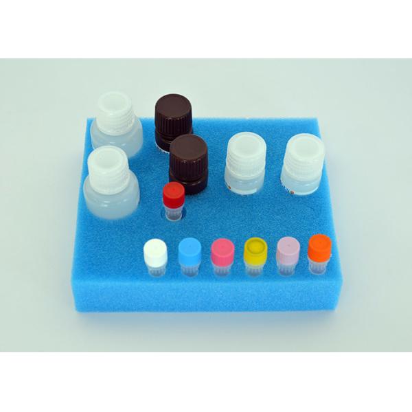 Fast Veterinary Residue Test Kit Benzalkonium chloride (BKC) ELISA Test Kit