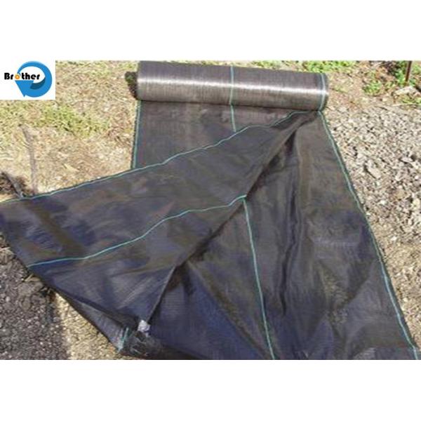 Folded Landscape Weed Control Fabric Cover Membrane Outdoor Garden Weeds Barrier Rugs Ground Geotextile Landscaping