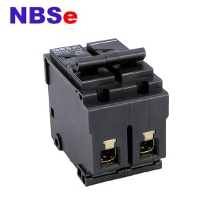 IEC60947-2 High Breaking Double Pole MCB Miniature Circuit Breaker