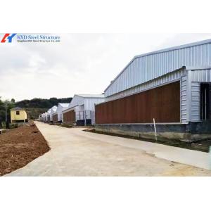 Galvanized Steel Structure Poultry House with Automatic Feeding System