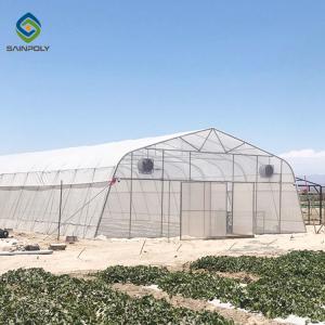 10m × 12m Plastic Single Tunnel Greenhouse For Growing Vegetables