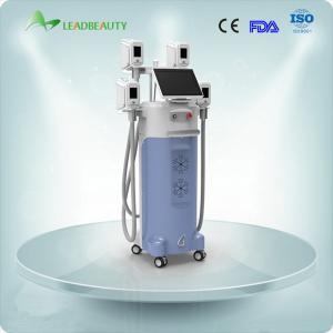 2015 multifunction lose weight 4 cryolipolysis heads 4 handls cryolipolysis