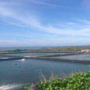 Fish Farm Pond Liner HDPE Geomembrane Waterproof Plastic Materials Geomembrane