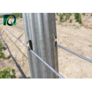 H Shape Holes Metal Vineyard Trellis Posts 1.5mm-2.0mm Thickness High Strength