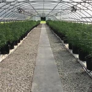 Automatic 100% Blackout Medical Growing Single Span Light Deprivation Greenhouse