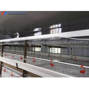 3 Tiers-10 Tiers Poultry Farm Cage Automatic Feeding Chicken House Cage