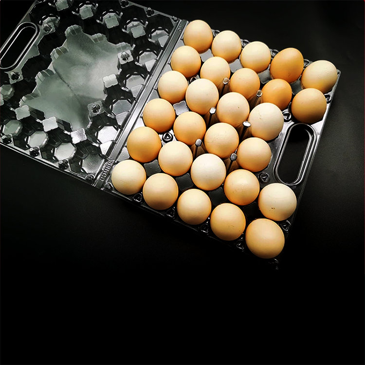 Transparent Plastic Egg Trays Egg Box Free Shipping Plastic Egg Tray with Handle