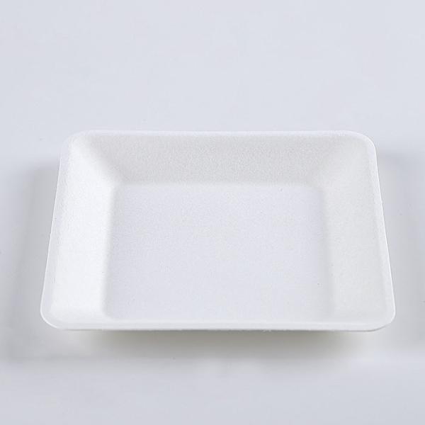 Compostable disposable bagasse food container biodegradable sugarcane tableware Bagasse Square Plate
