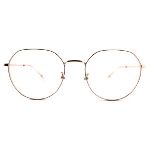 FM2595 Customized Optical Metal Frame Fashionable Lightweight Eyewear