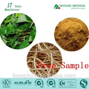 Natural Houttuynia Cordata Extract Powder 10 : 1