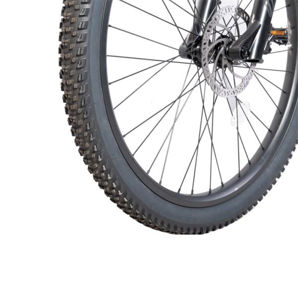 Electric Bike 29 Inch 11 Speed Carbon Fiber Frame Mountain Bicycle with 48V Voltage