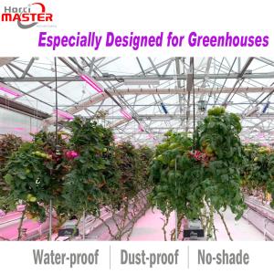 Commercial Greenhouse LED Grow Lights Supplemental 640W Toplighting