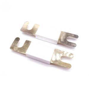 32V 80V Car Automotive Auto Forklift Ceramic ANL Fuse