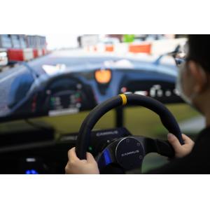 Ergonomic Driving Sim Cockpit For Playstation 4 Pro