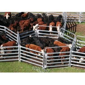 Assembled Galvanized 1.8x3.37m Heavy Duty Cattle Yard Gates