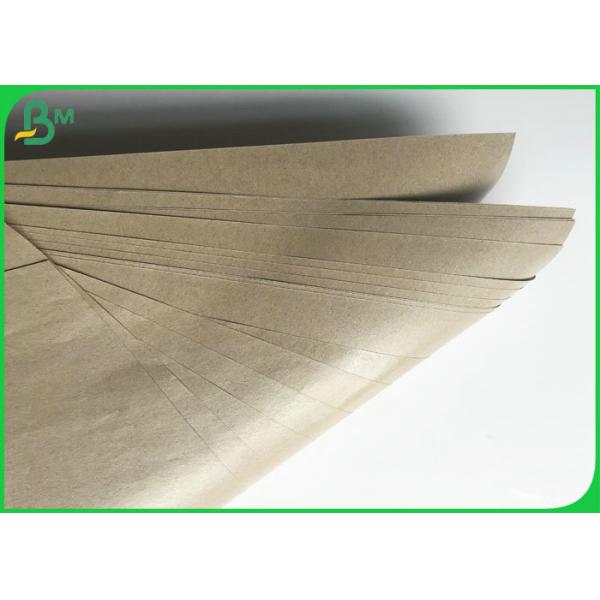 pe coated paper