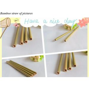 Eco Friendly Factory Directly Sales Customized Logo Bamboo Straw With Brush 100