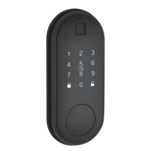 Smart Home Waterproof Electric Rim Lock With APP Control WIFI Gate Door