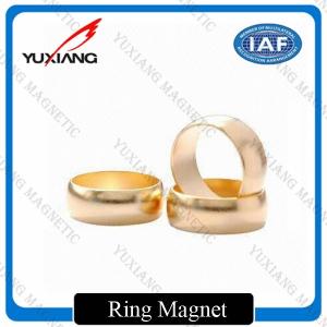 Gold Plating Neodymium Cylinder Magnets , Neodymium Magnets N52 Radial