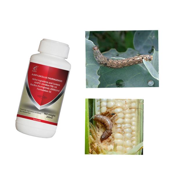 AcNPV SC Natural Vegetable Insecticides For Flowering Plants Agricultural
