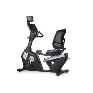 PP Materials Stationary Exercise Bike , Body Fit Resistance Control Recumbent