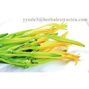 Daylily Extract natural NATURAL HERBAL ingredients Hemerocallia Fulva extract