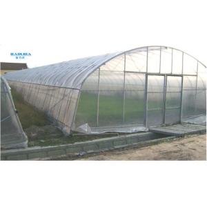 Single Span Plastic Tunnel Greenhouses Polyethylene Film Greenhouse For