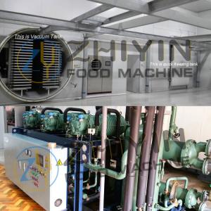 China Automatic Sublimation Condensation Dryer Split Vegetable Fruit Dehydrator on sale