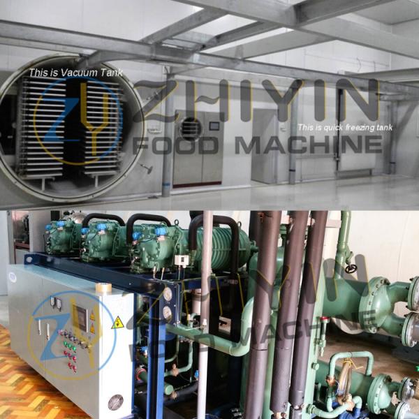 Buy Automatic Sublimation Condensation Dryer Split Vegetable Fruit Dehydrator at wholesale prices