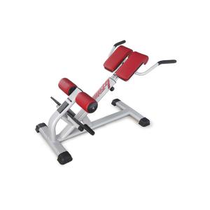 Pro Commercial Gym Rack And Exercise Equipment Back Extension Bench