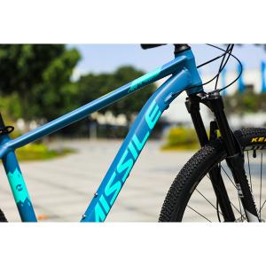 Hydraulic Disc Brake 2022 Year Presents 22 Speed 29inch Mountain Bikes for